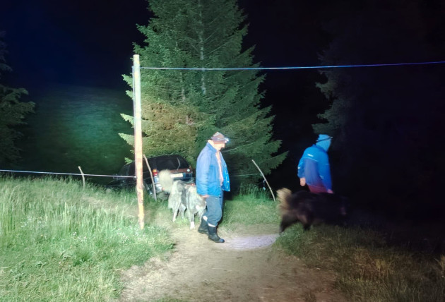 Pe munte, ca pe bulevard. Un „viteaz” puțin băut, fugărit de câini prin Piatra Craiului