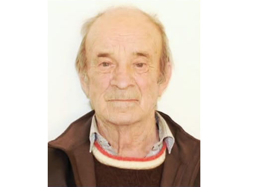 76 de ani, din Zărneşti, dispărut. Ultima oară ar fi văzut prin judeţul Bacău
