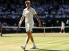 Jannik Sinner, din nou învingător la Wimbledon