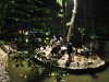 Castelul Bran: Primul concert de pe lac