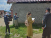 Dumbrăviţa, „realitatea este una dureroasă”:  În 2 luni, au fost „aruncaţi” peste 30 de pui de câine  