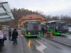 Conducerea RATBV vrea să afle câtă motorină consumă în realitate autobuzele 