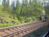 Un cablu tăiat pe magistrala CFR Brașov – București: Trenurile circulă, dar cu întârzieri de 30 – 60 de minute