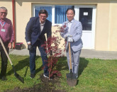 În semn de prietenie cu Japonia 