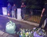 La 3 noaptea, trezit de „hoţii de tei”