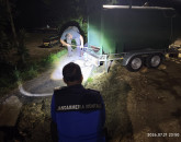 Doi urși eutanasiați într-o singură seară la Râșnov. În luna mai, animalele fuseseră relocate
