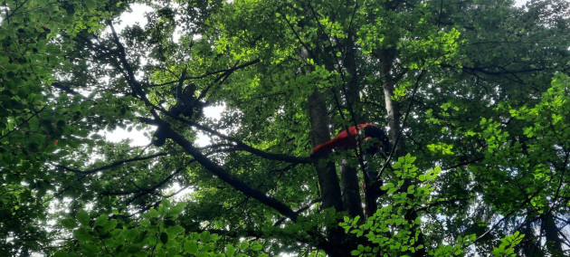  Poiana Brașov: Parapantistă „descurcată” din copac. O altă femeie a făcut atac de panică în Postăvaru