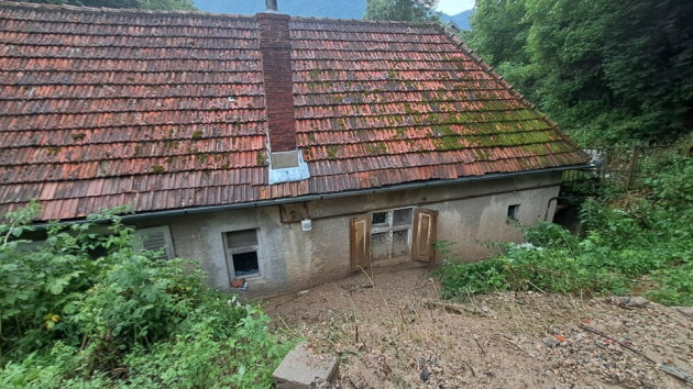 Cu mâl până la ferestre