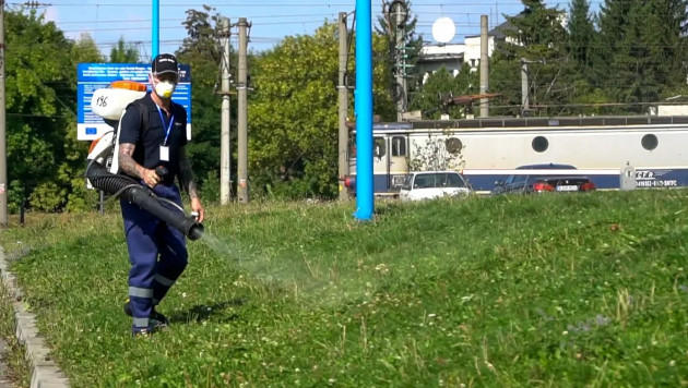 INFORMAREA POPULAŢIEI: dezinsecţie combatere ţânţari şi căpuşe pe domeniul public şi privat; tratamente fitosanitare pentru combatere boli şi dăunători la trandafiri şi buxus; larvicidare lucii de apă  