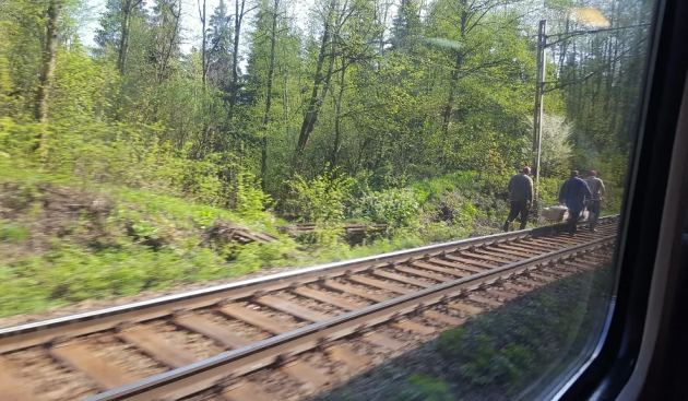 Un cablu tăiat pe magistrala CFR Brașov – București: Trenurile circulă, dar cu întârzieri de 30 – 60 de minute