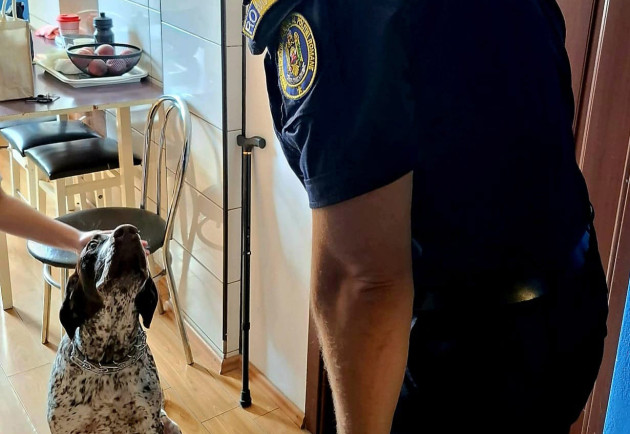 Ca la violență domestică, sub monitorizare: Brașoveanul care și-a bătut câinele, vizitat iar de Poliție