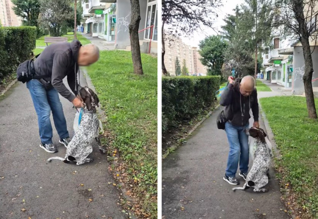 „Câinele arăta clar că nu voia să fie lângă acest biped”. O lecție de 2.200 de lei