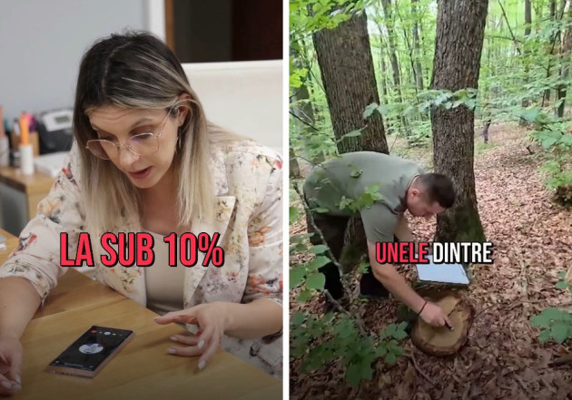Ministra Mediului anunţă probleme mari la Racoş: peste 350 de arbori tăiaţi ilegal şi controlul e la 10%