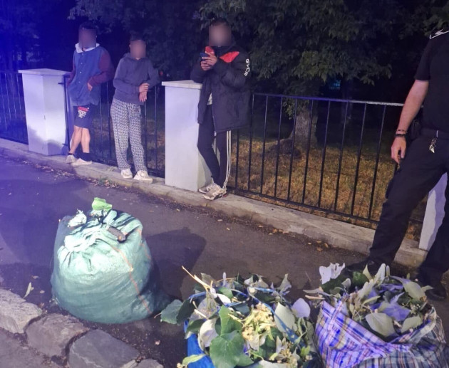 La 3 noaptea, trezit de „hoţii de tei”