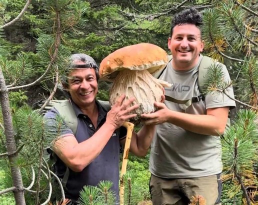Se laudă cu un hrib de 8,750 kilograme, cules la Tărlungeni