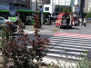 Călătorii RATBV asiguraţi pentru suma de 112.558 lei 