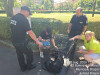 Nu erau maidanezi: Câinii care au speriat copiii şi părinţii în Parcul Trandafirilor au ajuns înapoi în familie