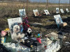 „Municipalul” animalelor, în apropierea cimitirului uman 