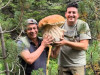 Se laudă cu un hrib de 8,750 kilograme, cules la Tărlungeni