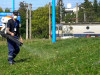INFORMAREA POPULAŢIEI: Dezinsecţie, combatere ţânţari şi căpuşe pe domeniul public şi privat; larvicidare lucii de apă; tratamente fitosanitare pentru combatere boli şi dăunători la arbori, trandafiri şi buxus