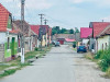 Primăria Dumbrăviţa vrea să rezolve problema câinilor fără stăpân