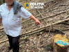 „Toată lumea era mulţumită”: Ministra Mediului şi-a anunţat descinderea la Braşov, pentru „una dintre cele mai mari zone de tăieri ilegale descoperite în ultimii ani de zile
