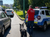Razie de amploare în Gemenii, pe Gării şi pe Victoriei