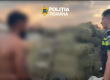 „Lăcustele” din țigănie. Au golit un câmp din Bod de sute de baloți de lucernă, prada găsită la Sânpetru: „le-am cumpărat”