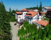 Şeful PSD Braşov din garda veche îşi vinde din „acareturi”