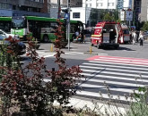 Călătorii RATBV asiguraţi pentru suma de 112.558 lei 