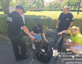 Nu erau maidanezi: Câinii care au speriat copiii şi părinţii în Parcul Trandafirilor au ajuns înapoi în familie