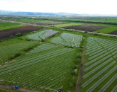 Alţi bani pentru a putea pune în funcţiune centrala solară a Braşovului 