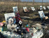 „Municipalul” animalelor, în apropierea cimitirului uman 