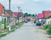Primăria Dumbrăviţa vrea să rezolve problema câinilor fără stăpân