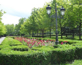 Noul plan pentru parcarea de la Parcul Titulescu 