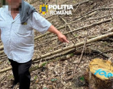 „Toată lumea era mulţumită”: Ministra Mediului şi-a anunţat descinderea la Braşov, pentru „una dintre cele mai mari zone de tăieri ilegale descoperite în ultimii ani de zile
