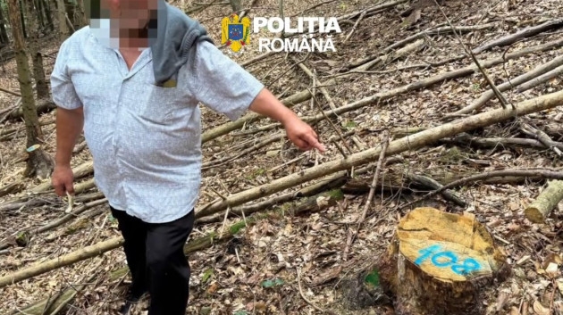 „Toată lumea era mulţumită”: Ministra Mediului şi-a anunţat descinderea la Braşov, pentru „una dintre cele mai mari zone de tăieri ilegale descoperite în ultimii ani de zile