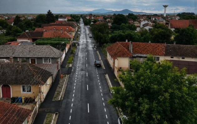 Un urs se joacă cu nervii autorităţilor din Prejmer 