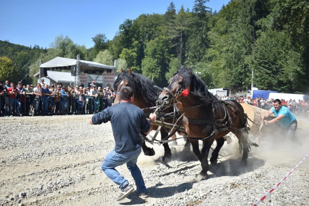 Râșnov: Festivalul Național Ecvestru, mutat în altă vale