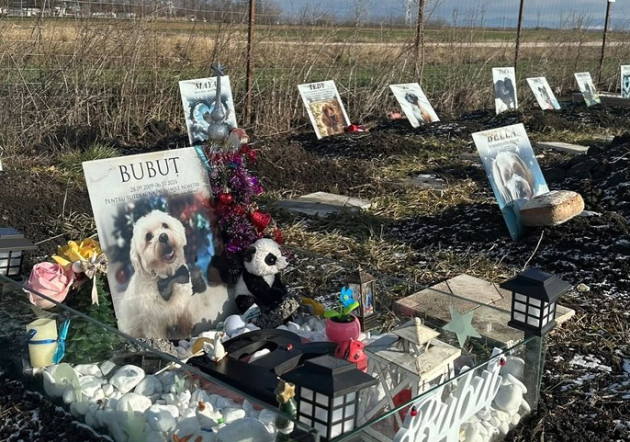 „Municipalul” animalelor, în apropierea cimitirului uman 
