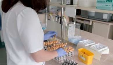 DSP Braşov: Focare de hepatită A în judeţ, 85 de cazuri raportate de la începutul şcolii