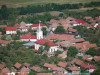 Campanie de sterilizare la Drăguş