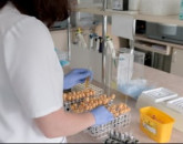DSP Braşov: Focare de hepatită A în judeţ, 85 de cazuri raportate de la începutul şcolii