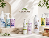 Cum arată un brand românesc după 15 ani de alegeri făcute diferit
