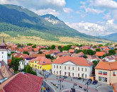 Primăria Zărneşti vrea să scape de câinii fără stăpân 