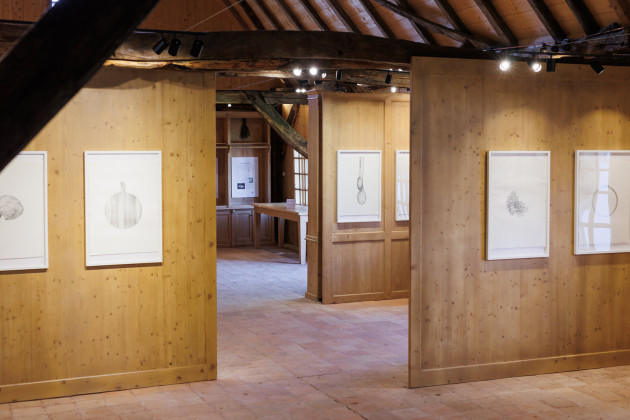 Casa Regelui de la Viscri găzduieşte expoziţia „Linea lignea” a artistei Irina Neacşu