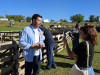 Răvăşitul Oilor revine la Drăguş