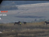 Primăria Dumbrăviţa vede mai bine ce era greu de observat 