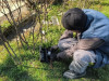 INFORMAREA POPULAŢIEI: activităţi de deratizare şi  activităţi de aplicare a tratamentelor fitosanitare pentru combatere boli şi dăunători 
la arbori, trandafiri şi buxus 