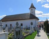 Mutăm liliecii, apoi lucrăm 